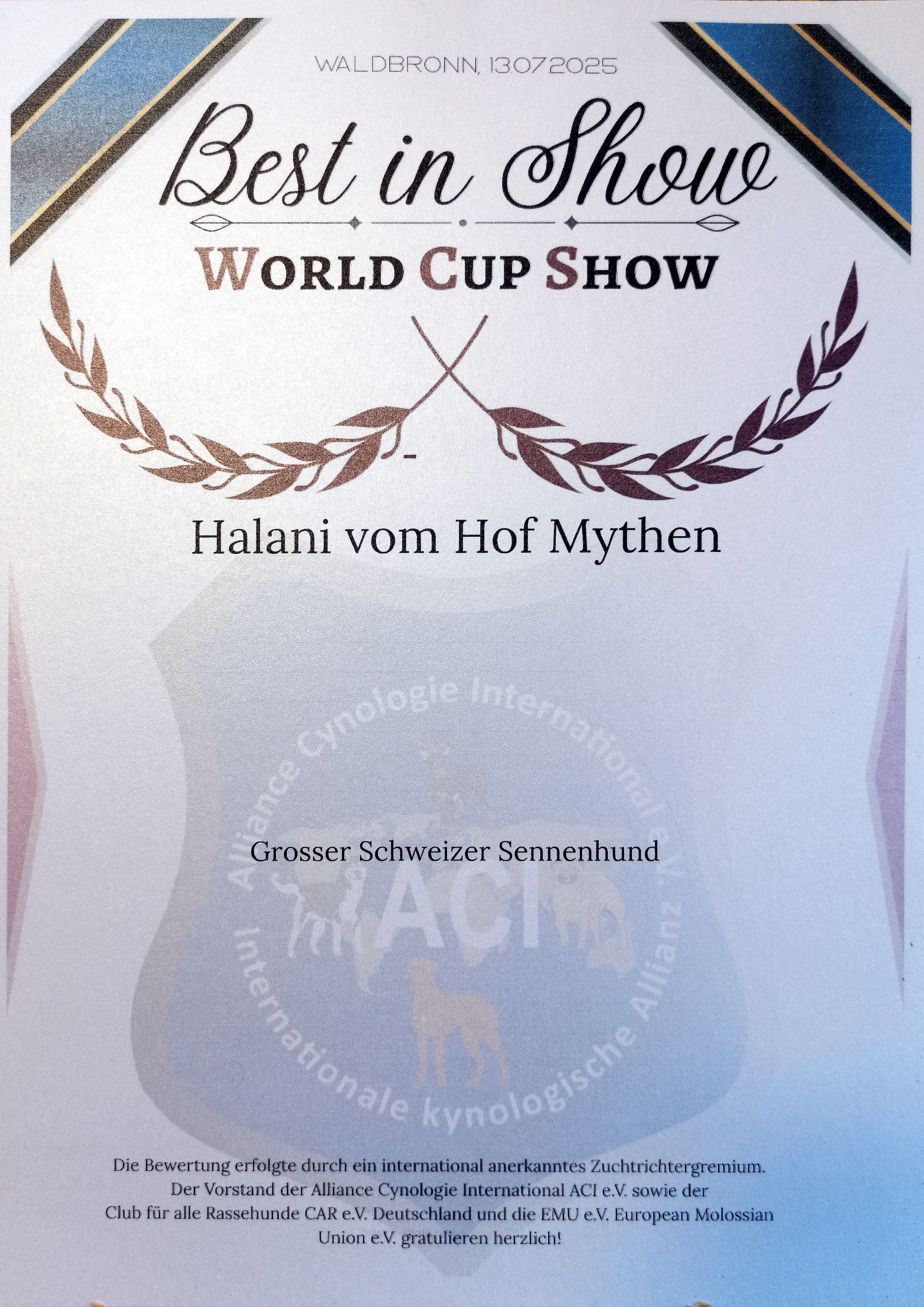 Best in Show - World Cup Show - Halani vom Hof Mythen - Juli 2025