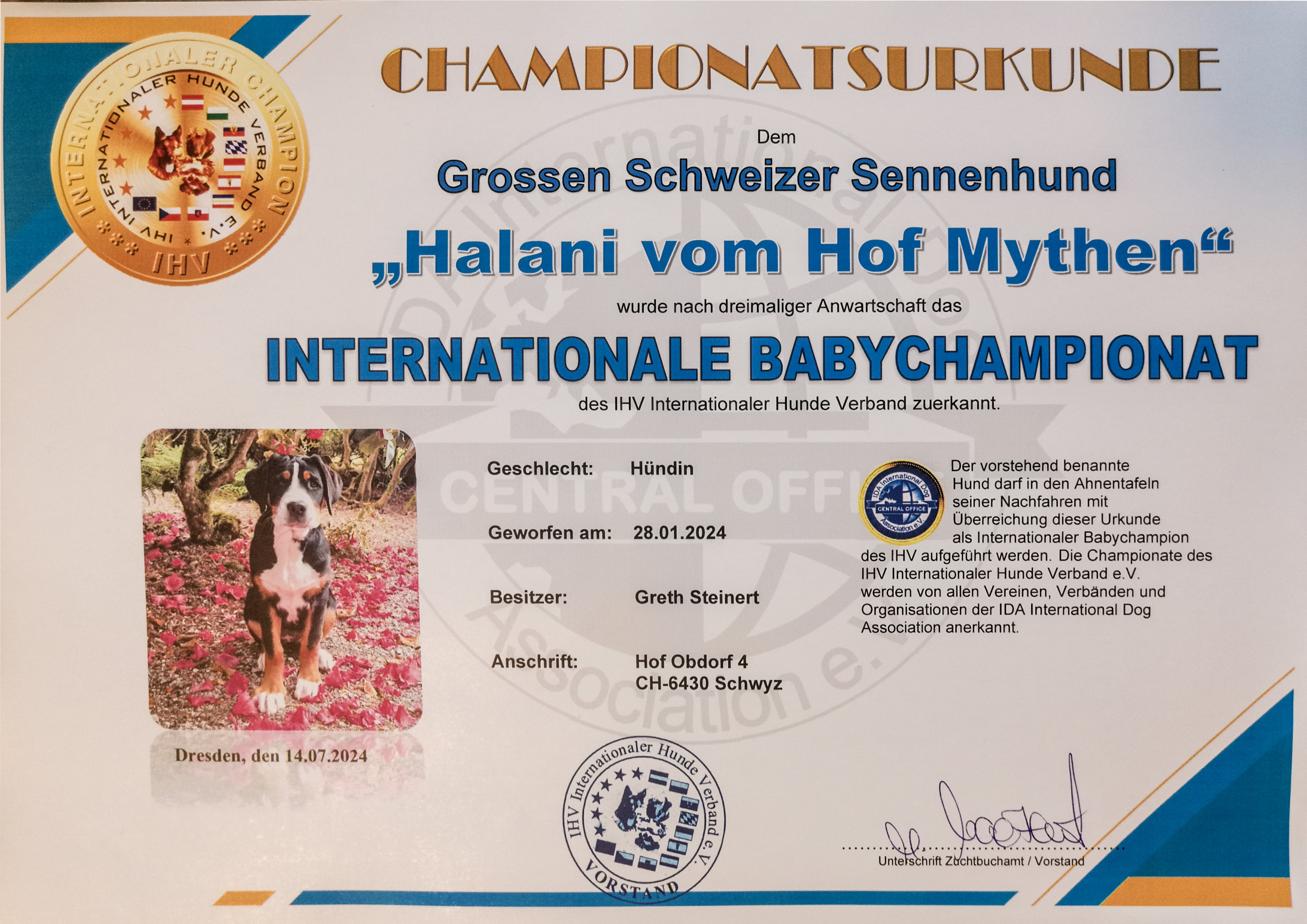 Internatinale Babychampionat - Juli 2024 - Halani vom Hof Mythen