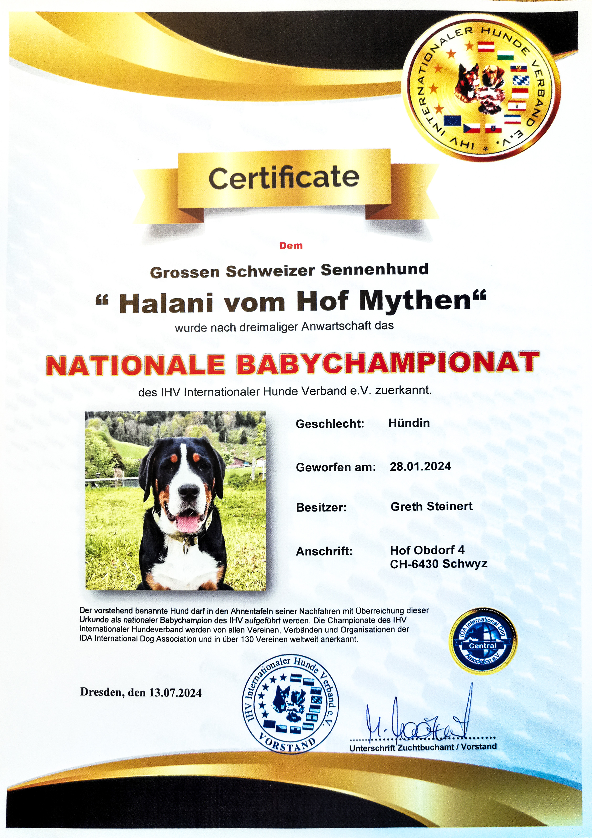 Internationale Babychampionat - Juli 2024 - Halani vom Hof Mythen