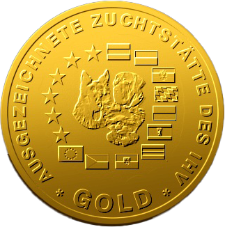 Zertifikat Zuchtstätte vorbildlich-gold V1 für Hof Mythen, Schwyz